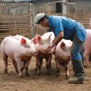 对于较小规模的企业来说哪些因素应该考虑并采取行动以便更好地控制猪群数量以及管理其体重增长率？