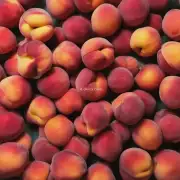 0 我们如何判断一个成熟的桃子是否已经过期并且不能再吃呢？是否有一种简单易行的方法来检测桃子的质量吗？