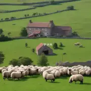 哪些生肖与属羊之人在工作上可以找到更机会?