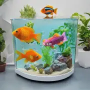 鱼缸的形状是什么?