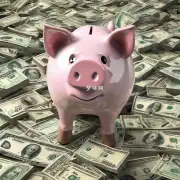 明天属猪财运如何影响投资回报?