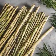 如何将一根竹子分成两段？