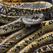 一条蛇能否长久地活下去？