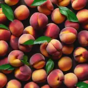 如何判断一个成熟的桃子是否已经变质了呢？有哪些常见的变化迹象吗？
