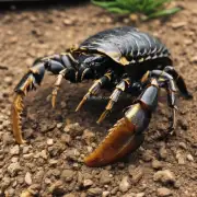养蝎子与养蜈蚣都需要考虑哪些环境因素以及相应的调整措施？