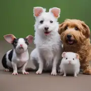哪些生肖是老鼠和狗不相克呢？
