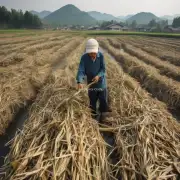 在中国目前的经济环境下你认为政府应该采取什么措施来鼓励农民将自己的土地出租给房地产开发商以换取收益？