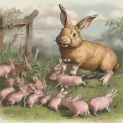 为什么兔子比猪更聪明一些呢？
