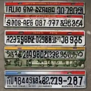 车牌号码是指车辆上的标识牌还是指整个牌照系统中的编号序列？如果有多个字符串组成一个完整的牌照号码那么这些字符串是如何排列顺序的呢？