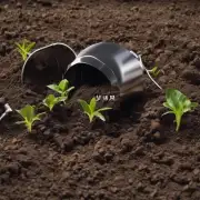 要选择什么样的土壤来栽种艾草呢？