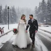 你认为在下雪的情况下举办婚礼会是什么样子？