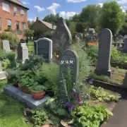 如果天气不好的话我们应该怎么处理墓碑上的花草植物啊？