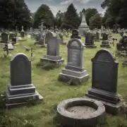 如何为死去的宠物选择墓地的位置和大小？