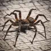 如果一个人不小心踩死了一只蜘蛛会怎样？