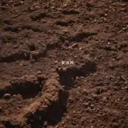 什么是土壤？
