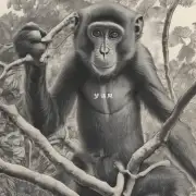 第一题谁是猴子？