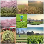 为什么中国的传统农历新年开始于立春日？