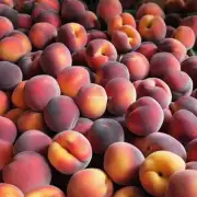 如果你发现一些不成熟或已变质的桃子被放入冰箱中保存了一段时间后仍然没有腐坏那么它们为什么还能继续存在这么久呢？