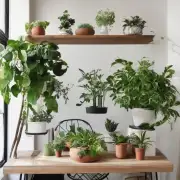 对于那些想要为房间增添一点自然元素的人们来说什么类型的植物最适合放在室内环境中？