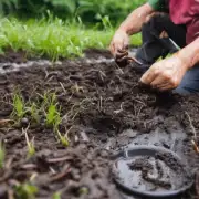 当遇到泥泞潮湿的地方时应该如何处理这些情况以更好地抓住蚯蚓？