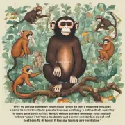 为什么有些人认为猴子是幸运动物呢？