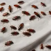 如果发现有蟑螂在身边应该采取什么措施来预防它们爬上床单和床上用品吗？