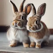 兔子的性格是什么样的？为什么它们会成为宠物呢？