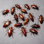 我该如何保持家居清洁从而减少蟑螂数量的可能性？