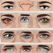 眉毛和眼睛之间有什么关系？