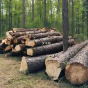 在风水学中什么时候砍伐树木比较好？