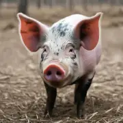 猪是十二生肖中最笨吗？如果是的话原因何在？