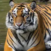 除了中国的东北虎之外其他亚种的老虎还有哪些特征与之有所不同？这些差异的原因是什么呢？
