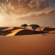 你有去过非洲的沙漠地区吗?