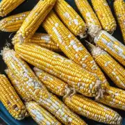 玉米的营养成分有哪些?