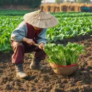 根据中国传统的农事节气纪法虎年的农历三月三十对应哪个农作物生长时期?