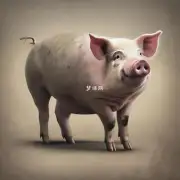 您觉得属猪的人在人际关系方面会怎么样?
