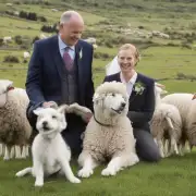 狗和羊的婚姻如何影响经济关系?