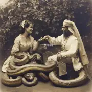 以属蛇的属蛇的婚配如何体现蛇类的社会结构和关系?