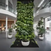 哪个楼层最适合种植盆栽?
