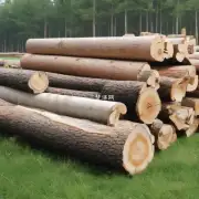 永胜木业有哪些特色?