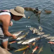 抓取鱼子的注意事项有哪些?