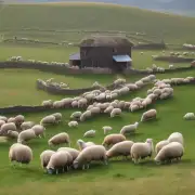 以属羊的人鸡年运势如何影响家庭关系和亲人感情?