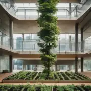 哪个楼层最适合种植树木?