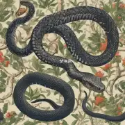 蛇的习性如何与人类生活方式有关?