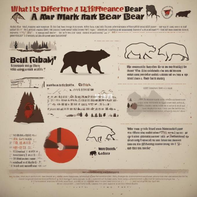 What is the difference between a bull market and a bear market?