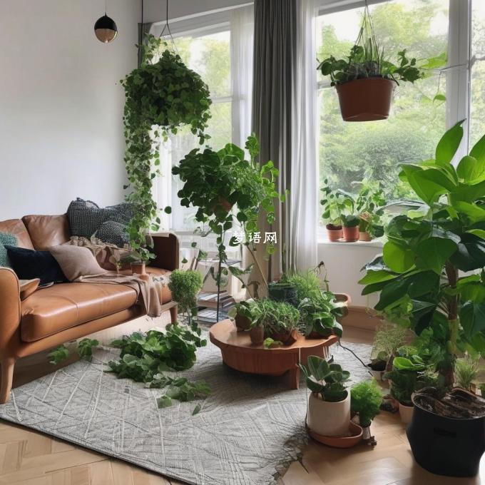 客厅朝北后可以使用哪些植物进行室内绿植的点缀吗?