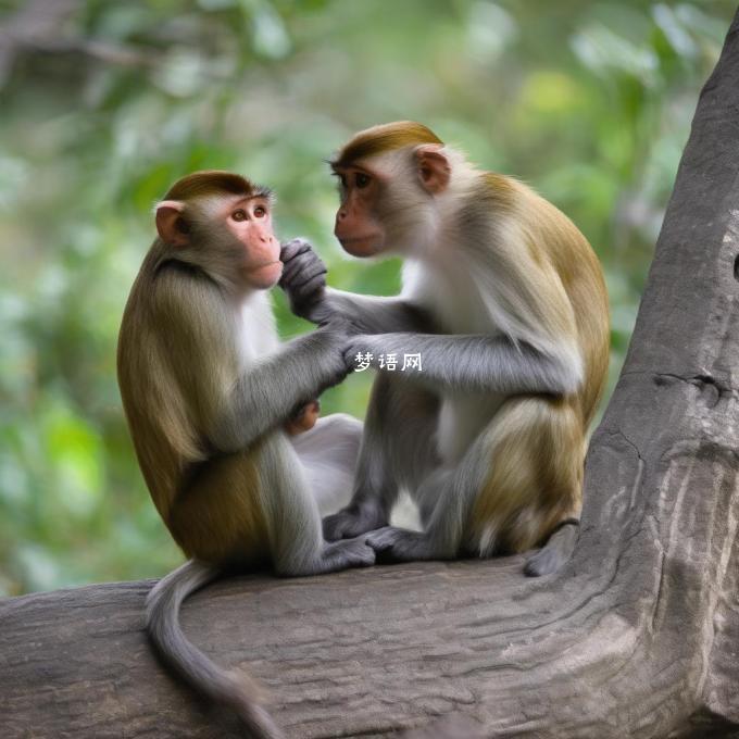 马配猴如何维持婚姻关系?